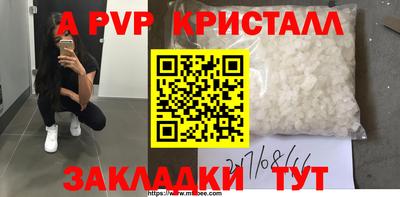 ECSTASY Канаш
