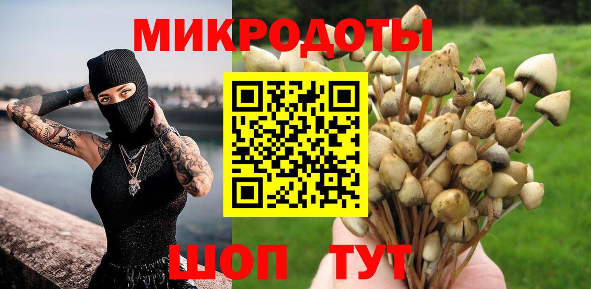 Псилоцибиновые грибы ЛСД Краснознаменск