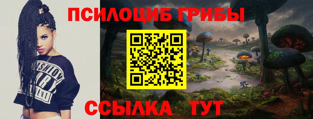 Галлюциногенные грибы мухоморы  Галлюциногенные грибы Psilocybe  Вход с VPN  Краснознаменск 